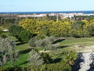 Appartement dans mas catalan avec climatisation et WiFi - FR-1-776-127 - Argelès-sur-Mer - 9