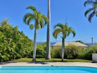 Villa Perle des iles - F. Sauger - 5