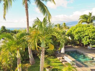 Villa Serenite - F. Sauger - 8