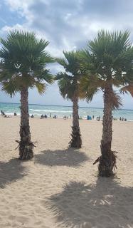 El Soleado El Rincon - Campoamor - 4
