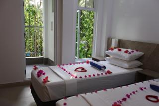 Shams - Thoddoo - 6