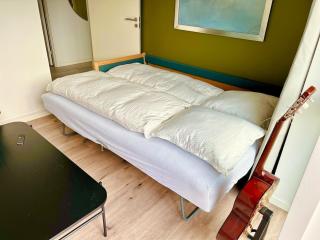 Modern 3BR near Rosengård, City E20 & Congress C - Odense - 7