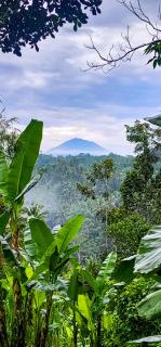 Delta Casa Ubud - Jungle Villas-Volcano View, BTub - 4