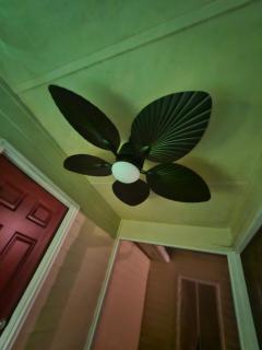 Cute Comfy Studio Prime Location - Tallahassee - 5