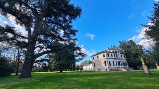 Casa Anì - Mirano - 9