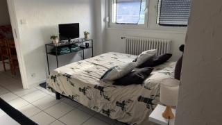 Appartement sur les hauteurs de Gérardmer - Gérardmer - 6