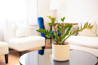 Sunlit 1-BR Flat Near Notting Hill - London - 2