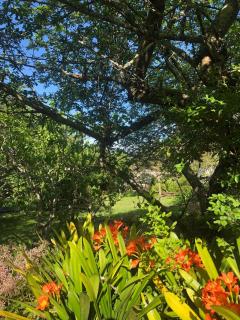 Hillside Cottage - Knysna - 1