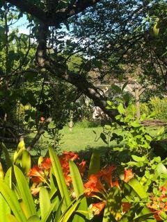 Hillside Cottage - Knysna - 3