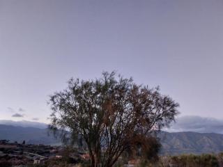 Il Calice dell'Etna - Passopisciaro - 1