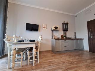 Apartamenty Starówka - w otulinie Starego Miasta - Toruń - 1