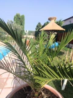 Les chambres d'hôtes d'Eloïse, piscine privée - Aramon - 8