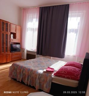 Apartments " VINTAG " Teplice - Teplice - 7