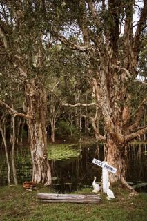 Farmhouse 1 at Coffs by Tiny Away - Boambee - 7