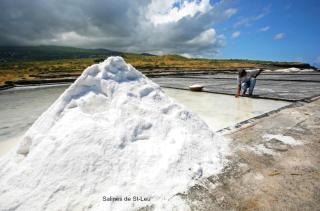 Paillote Plume Bleue - Saint-Leu - 7