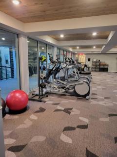 IG-Worthy Fiesta DT Retreat hotel Apt with free Parking and Pets Allowed - San Antonio - 4