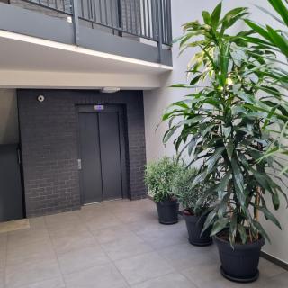 Apartament Skarbowa Sun - Leszno - 1