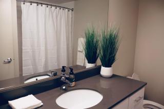 Your Waterfront & Pike Place Stay! - 7