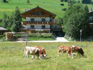 Haus Alpenfrieden - Gerlos - 2