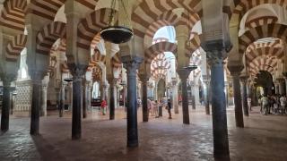 Precioso apartamento para rest work and enjoy en Cordoba Centro 5B - 6