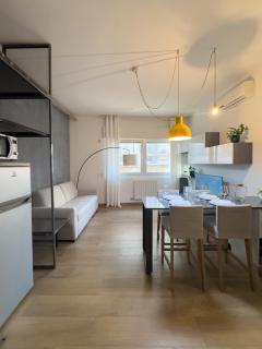 Bertini apartment - Milan - 0