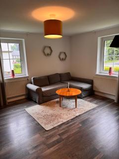 Ellis-Ferienwohnung-Erzgebirge - 8