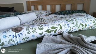 Apartmán Paula 3 - Podhájska - 3