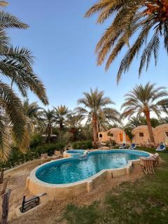 Siwa Palace Lodge - Siwa - 9