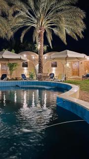 Siwa Palace Lodge - Siwa - 3