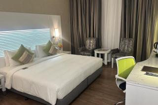 Hotel GROSS LUXURY Near Delji Airport - New Delhi - 9