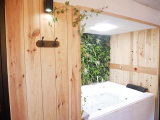 HOTEL DU BERRY - Loveroom avec Sauna, Hammam, Jacuzzi privatifs - 3