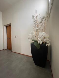 New apartment-Sotto la Torre - Monsummano Terme - 7