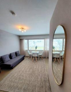 Peaceful studio, great location, free parking - Pori - 8