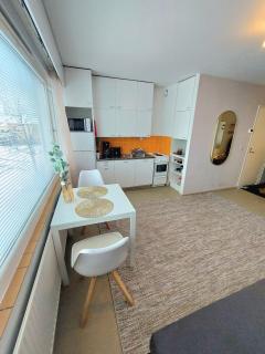 Peaceful studio, great location, free parking - Pori - 2