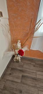 studios et appartements REVE BLEU - 9