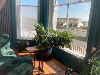 Gavin's Sea Pad - St. Leonards - 4