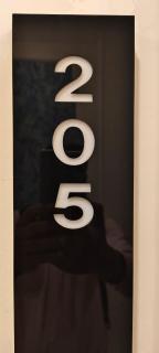 Hotel Maharaja Palace - 2