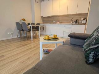 Apartament Miodowa w Straconce - Bielsko-Biała - 2