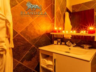 Elandela Private Game Reserve and Luxury Lodges Pty Ltd - Hoedspruit - 4
