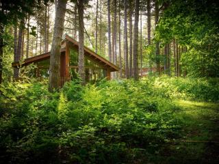 Blackwood Forest Cabins - Forest Holidays - Popham - 0