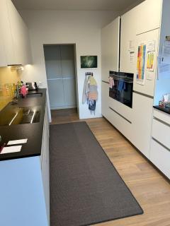ESC-Basel-Flat - Whole rent to save our MUSICAL THEATER BASEL - Basilea - 2