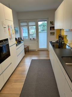 ESC-Basel-Flat - Whole rent to save our MUSICAL THEATER BASEL - Basilea - 1