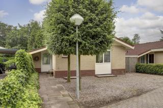 Luxe boshuisje op kleinschalig park op de Veluwe - Putten - 6