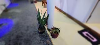 Homestay Midigama East, Free Washer, Wi-Fi - Midigama-Est - 9