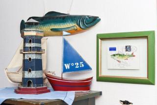 'Strandflieder' - Langeoog - 8