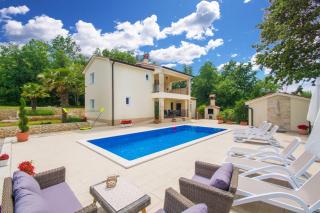 Villa Olifi, a peaceful villa surrounded by nature - Kršan - 9