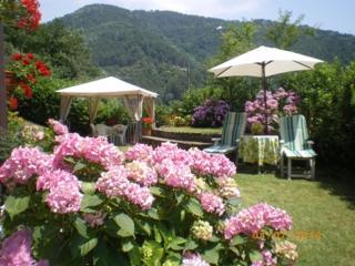Campomaggio - Pistoia - 0
