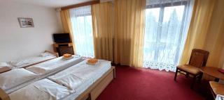 Resort Hotel Zvíkov - Zvíkovské Podhradí - 8
