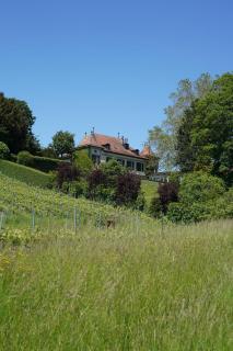 Le Château - Lavigny - 3