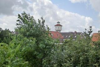 Twillinghus TWEE - Langeoog - 9